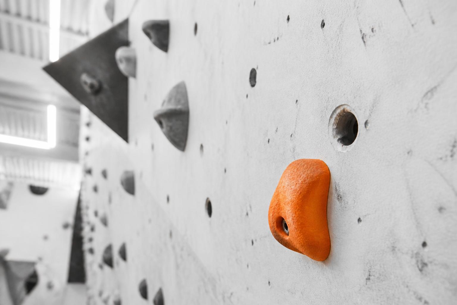 Key Recovery in 600 Queries: wolfSSL's Assembly Shortcut