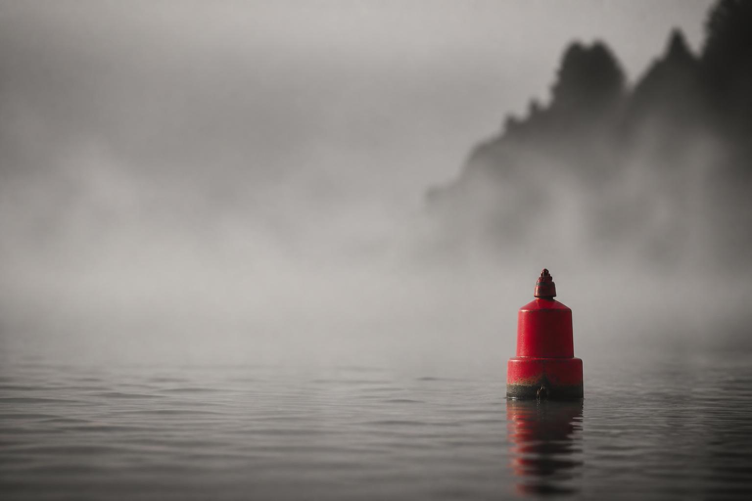 Which Cryptographic Assets Should You Migrate First?